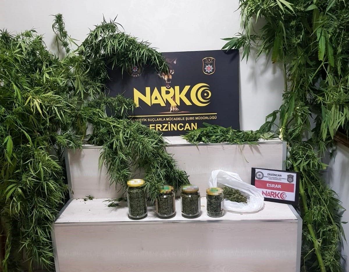 Erzincan\'da Narkotik Operasyonunda 642.49 Gram Esrar ve 3 Kök Kenevir Ele Geçirildi