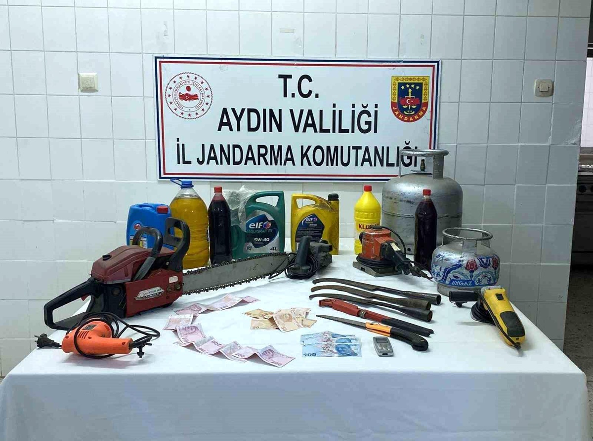 Aydın\'da Yayla Evinde Hırsızlık Olayı: Şüpheli Tutuklandı