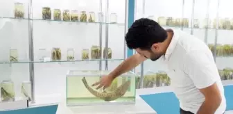 Leopar Sazanı için Keşif Turu Başlatıldı
