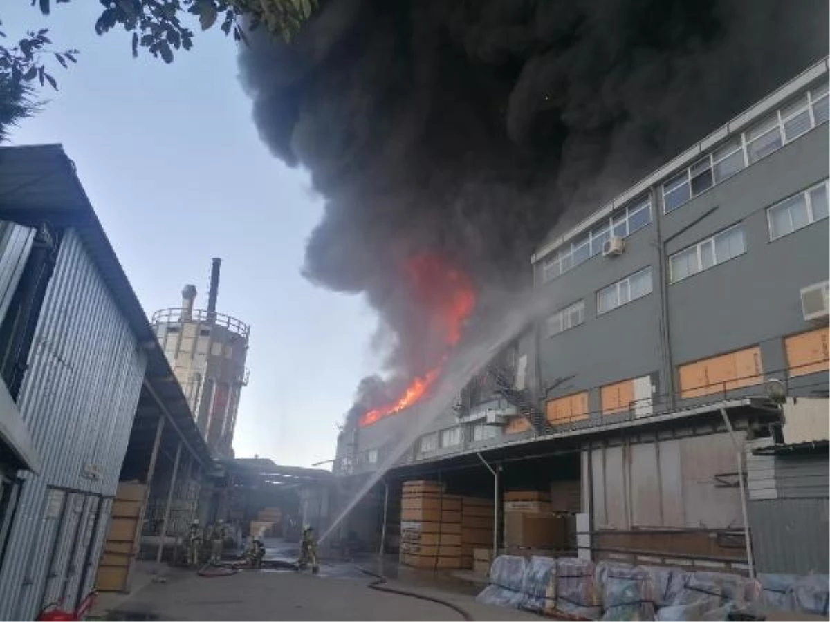 Silivri\'de Mobilya Fabrikasında Yangın Çıktı