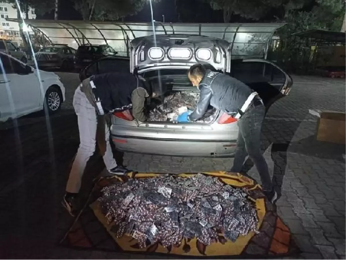 Manisa'da 110 Bin 600 Adet Sentetik Ecza Hap Ele Geçirildi