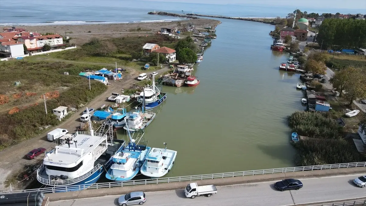 Karadeniz\'de avlanan deniz salyangozları seramik, kozmetik ve yem sanayisinde kullanılıyor