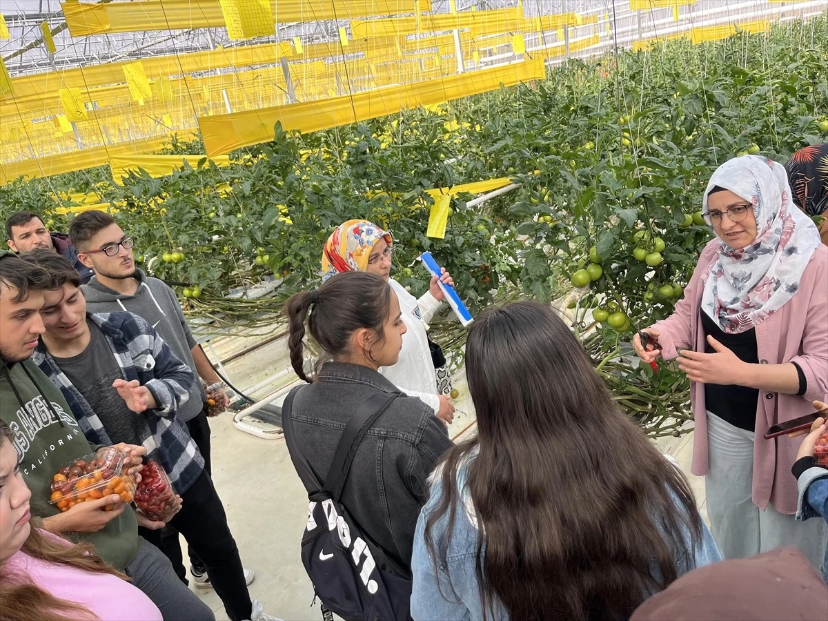 AKÜ Seracılık Programı Öğrencileri Sera İşletmesine Teknik Gezi Gerçekleştirdi