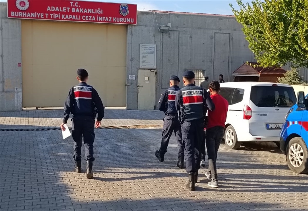 Edremit\'te Zeytin Hırsızlığı Yapan 2 Şüpheli Tutuklandı