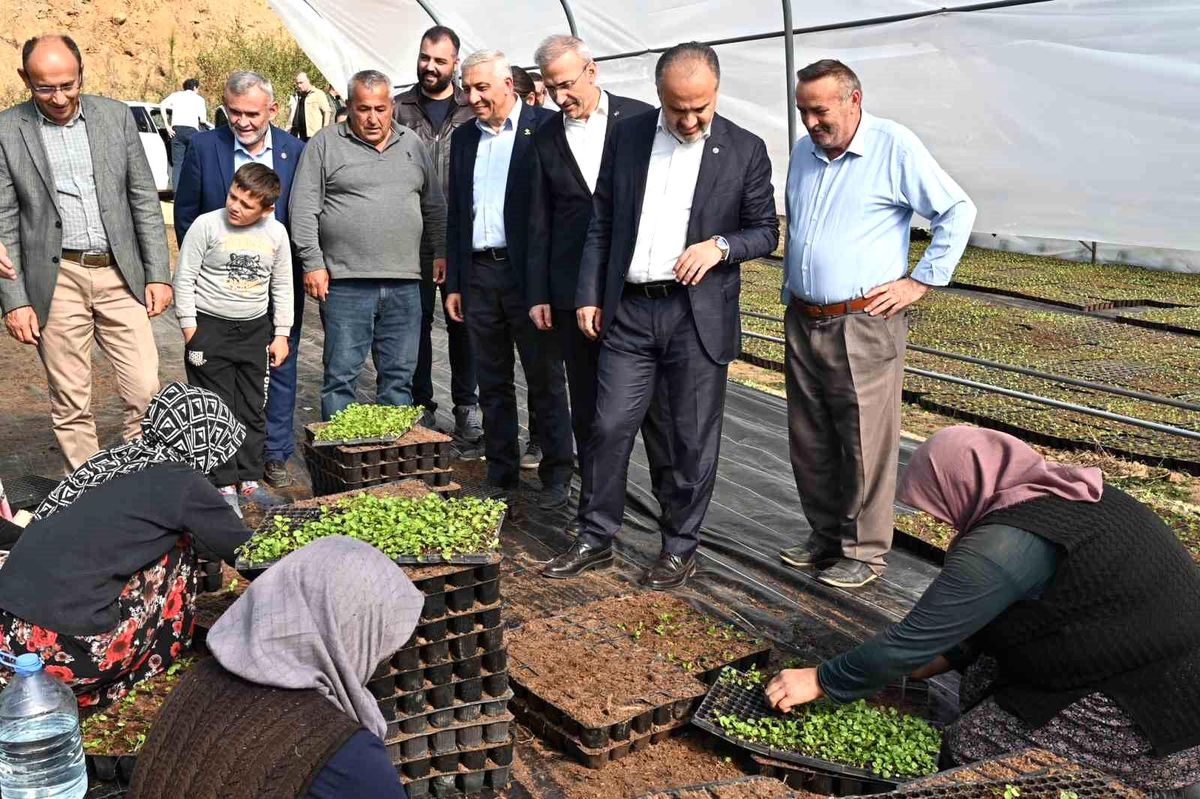 Kelesli Çiftçilerin Hünerli Elleriyle Bursa\'nın Çiçekleri Yetişiyor