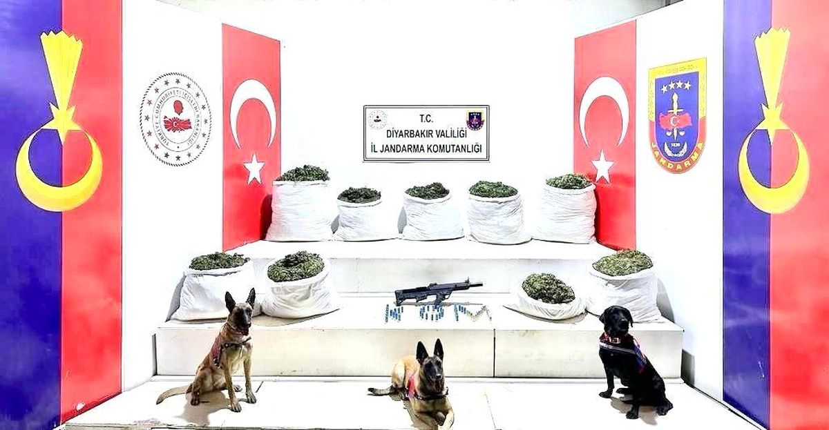 Diyarbakır\'da Büyük Uyuşturucu Operasyonu: 350 Kilogram Esrar ve 150 Bin Kök Skunk Ele Geçirildi