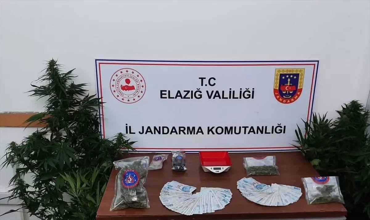 Elazığ\'da uyuşturucu operasyonu: 4 şüpheli gözaltına alındı