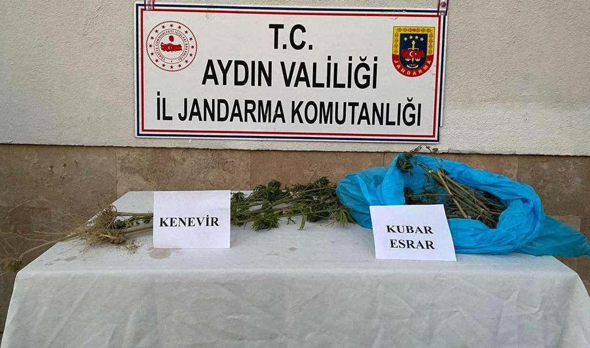 Aydın\'da Huzurlu Sokaklar Operasyonunda 38 Şüpheli Yakalandı