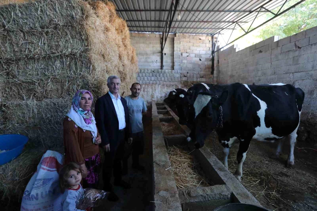 Şahinbey Belediyesi, Bayramlı Köyü\'nde hayvan desteği sağladı