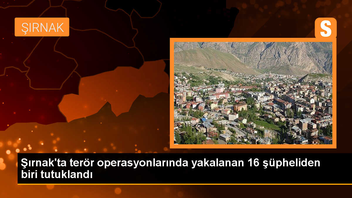 Şırnak\'ta PKK/KCK operasyonunda 1 kişi tutuklandı