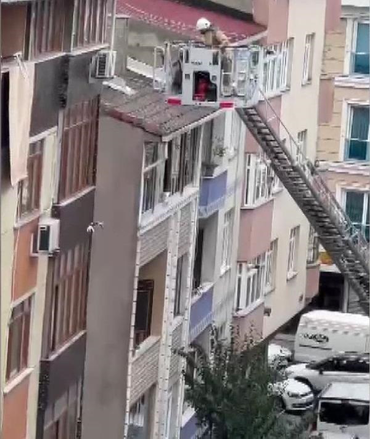 Sultangazi\'de Yavru Kedi Çatıdan Düştü