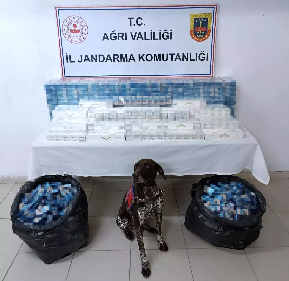 Ağrı\'da kaçakçılık operasyonunda 3 tır şoförü gözaltına alındı