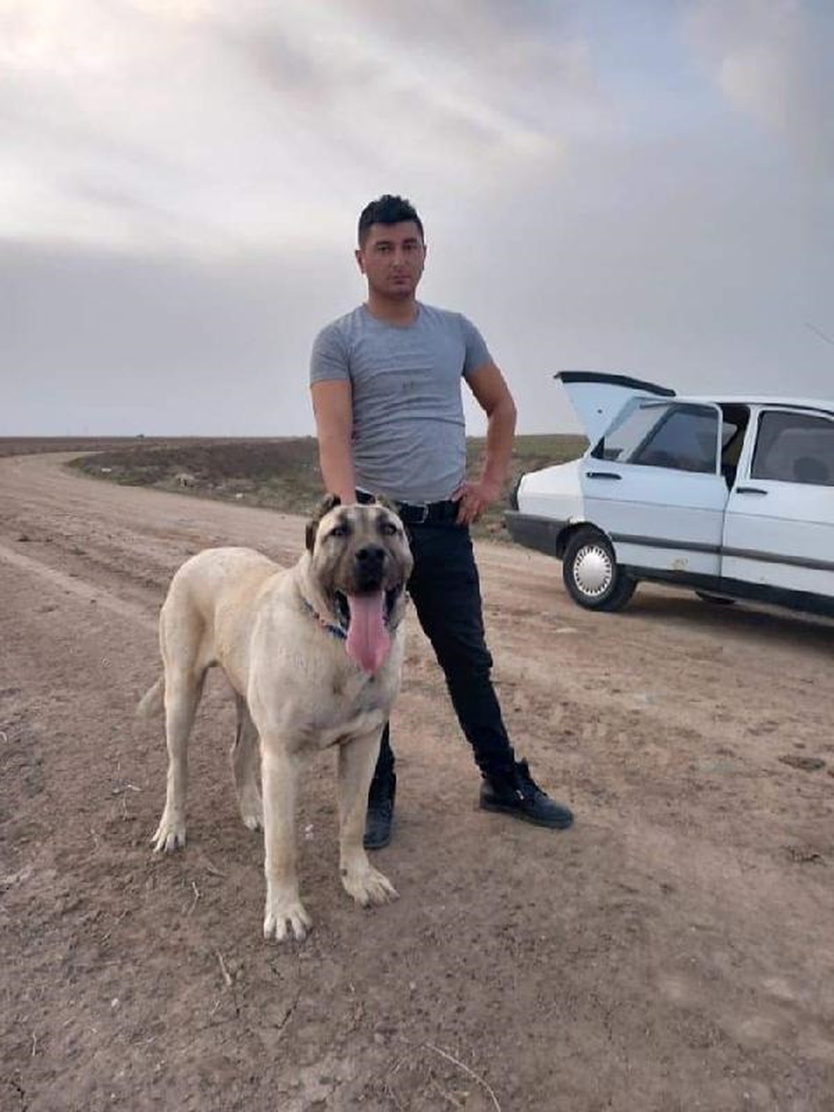 Köpek Tartışması Kanlı Bitti: Komşusunu Vurdu