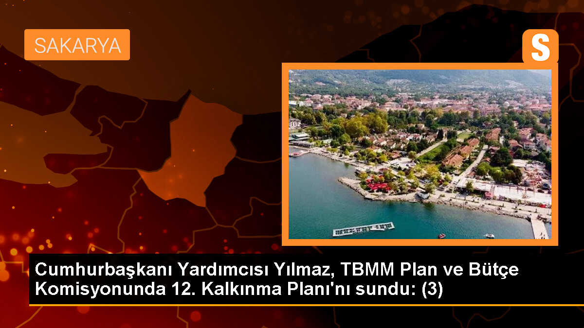 Cumhurbaşkanı Yardımcısı Yılmaz, TBMM Plan ve Bütçe Komisyonunda 12. Kalkınma Planı\'nı sundu: (3)