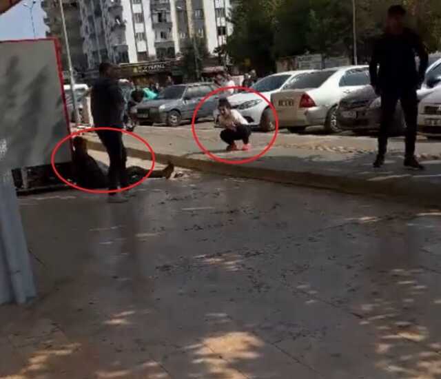 Diyarbakır'da oyun merkezinde çıkan kavgada ağır yaralanan kişi hastanede hayatını kaybetti Diyarbakır'da oyun merkezinde çıkan kavgada ağır yaralanan kişi hastanede hayatını kaybetti
