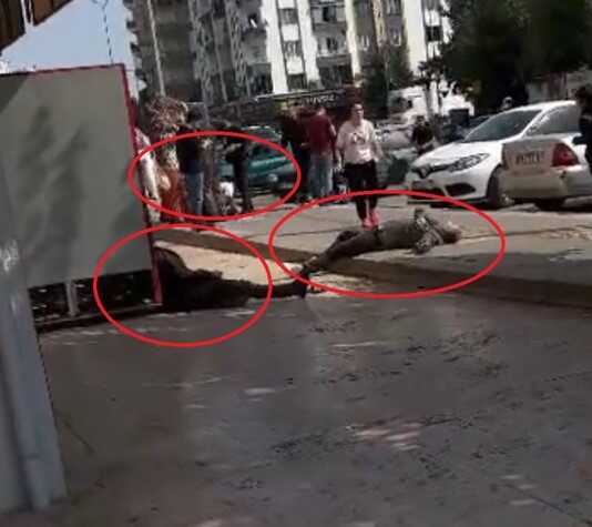 Diyarbakır'da oyun merkezinde çıkan kavgada ağır yaralanan kişi hastanede hayatını kaybetti Diyarbakır'da oyun merkezinde çıkan kavgada ağır yaralanan kişi hastanede hayatını kaybetti