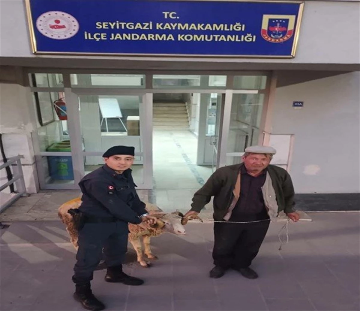 Eskişehir\'de çalınan küçükbaş hayvanı sosyal medyadan satışa koyan 2 şüpheli yakalandı