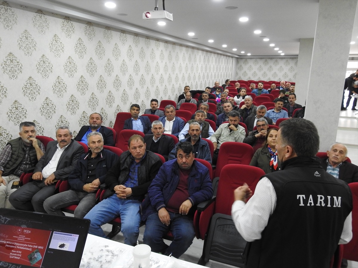 Espiye\'de kahverengi kokarca ile mücadelesi toplantısı yapıldı