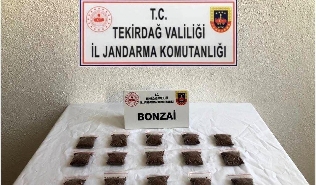 Tekirdağ\'da İstanbul\'dan Uyuşturucu Operasyonu: 16 Poşet Bonzai Ele Geçirildi