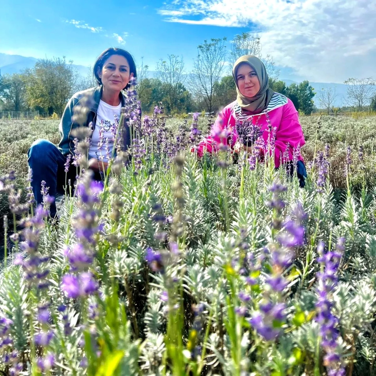 Düzce\'de Lavanta Üretimi Yapan Çiftçiye İnceleme Ziyareti