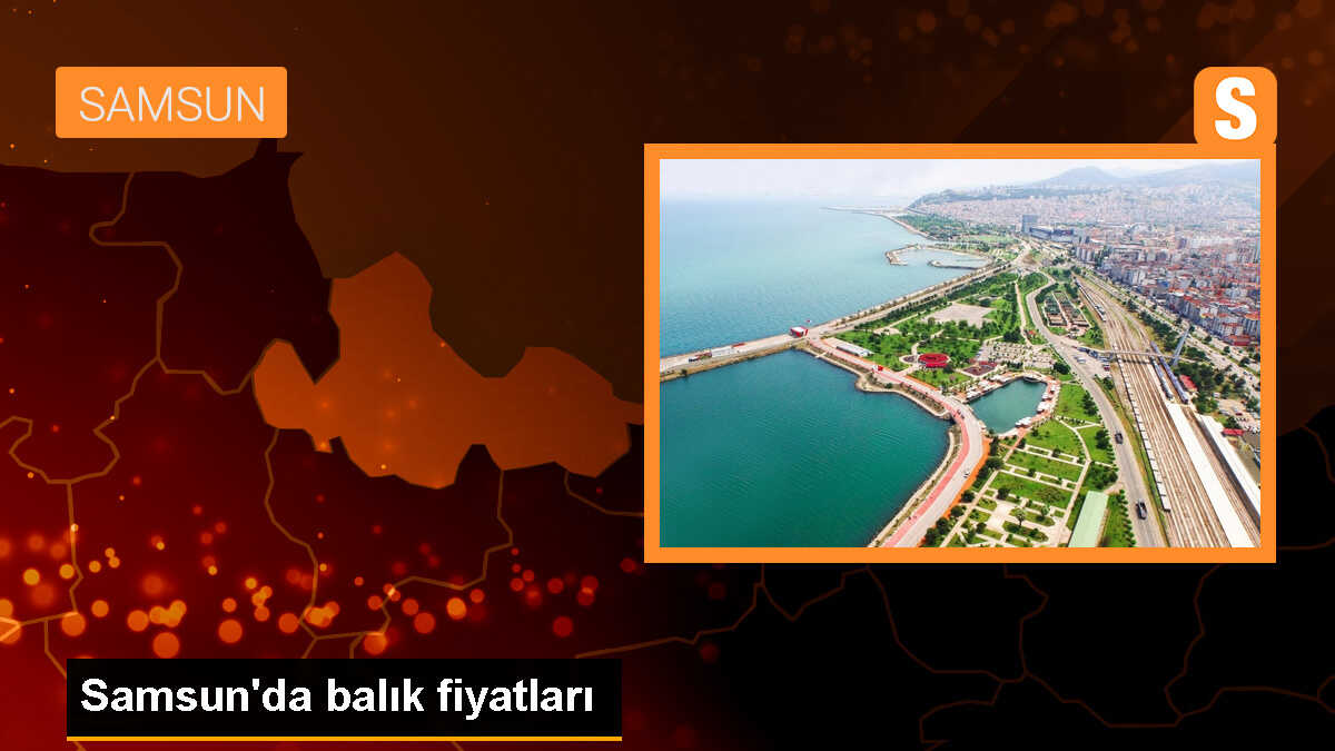 Samsun Büyükşehir Belediyesi Balık Satış Pazarı\'nda Hamsi Kilogramı 70 Liradan Satılıyor