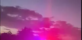 Sarıyer'de bahisle köpek dövüştürenlere baskın: 25 gözaltı