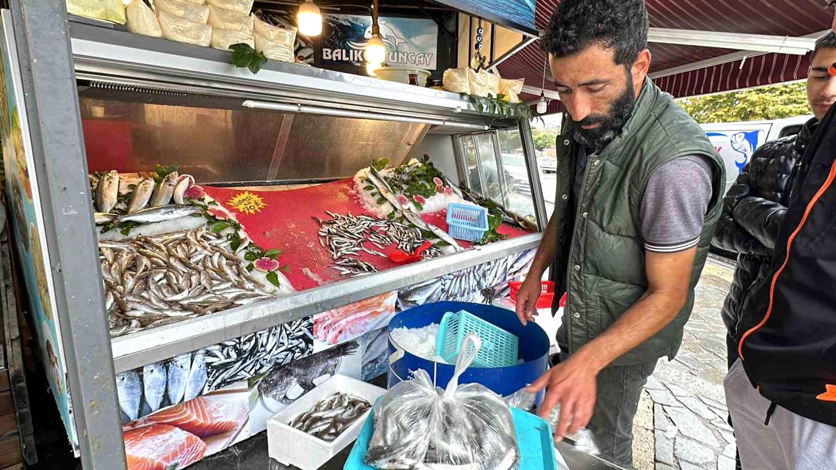 Karadeniz\'de Hamsi Bolluğu Devam Ediyor