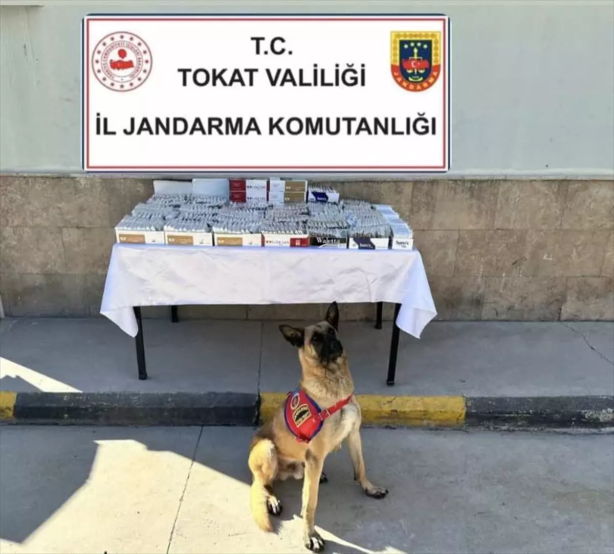 Tokat\'ta Silah Ticareti ve Sahte Alkole Operasyon