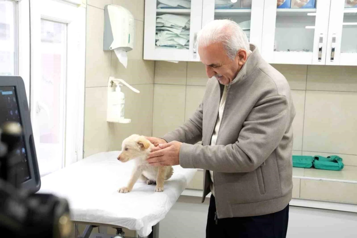 Ümraniye Belediyesi Hayvan Sağlık Hizmeti\'nde İstanbul\'da bir ilki gerçekleştirdi
