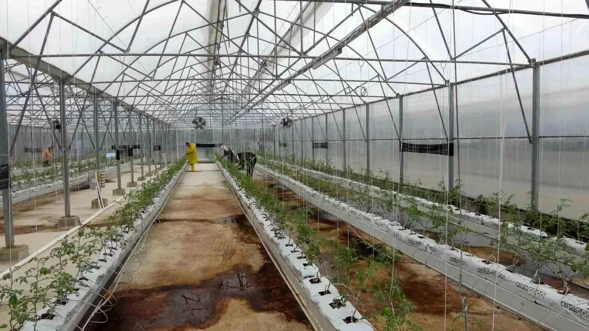 Trabzon\'da \'En Mutlu Köy\' Projesi Hayata Geçiyor