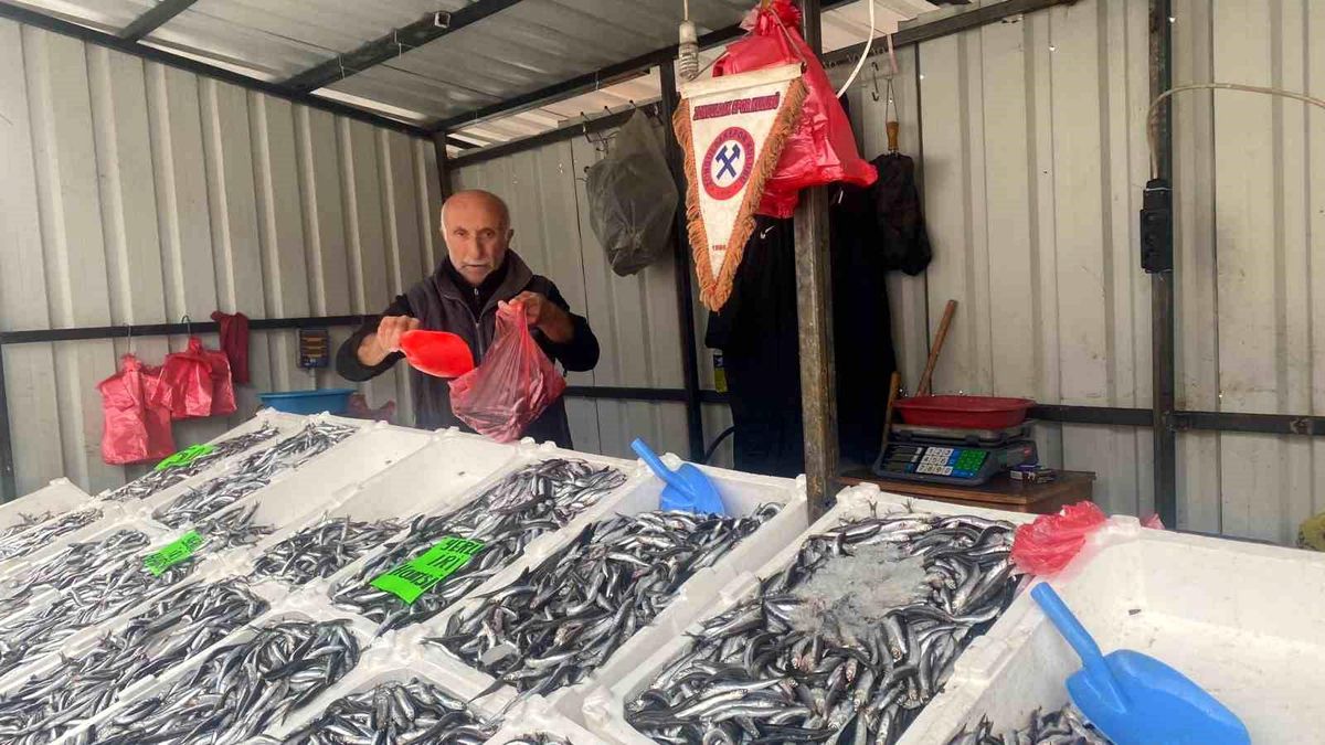 Zonguldak\'ta Balık Fiyatları Düşüşe Geçti
