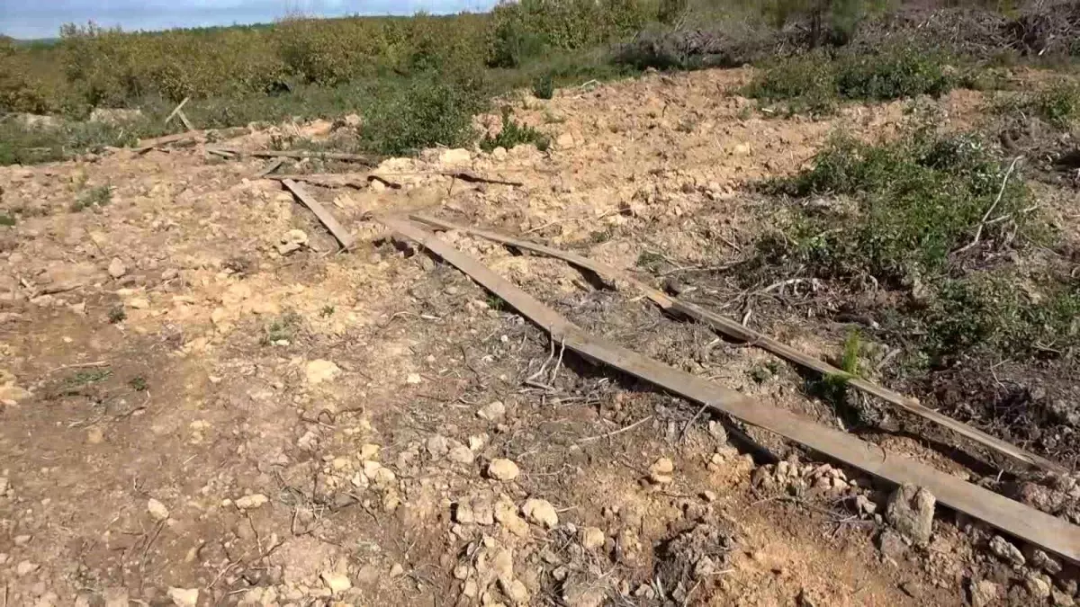 Pendik\'te Ormanlık Alanlarda Ağaç Kesimiyle Açılan Yerlerde Usulsüz Arazi Satışı Yapan Şebeke Çökertildi