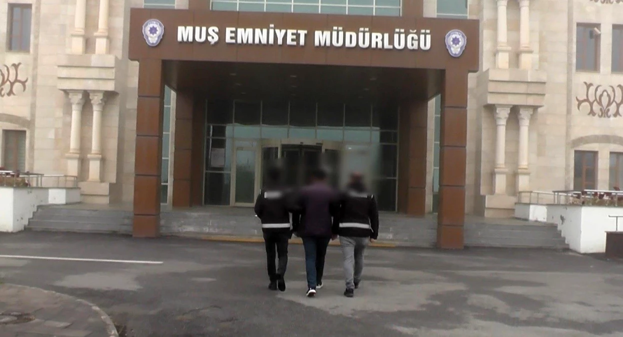 Muş\'ta Resmi Belgede Sahtecilik Yaptıkları İddiasıyla 7 Kişi Gözaltına Alındı
