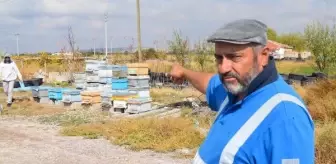Arı Kovanı Hırsızı Yakalandı, Kovanlar Sahibine Teslim Edildi