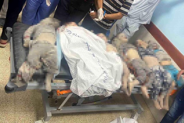Gazze Avrupa Hastanesi Müdürü: İsrail'in Han Yunus saldırısında hayatını kaybeden çocukların cenazeleri önünde açıklama Gazze Avrupa Hastanesi Müdürü: İsrail'in Han Yunus saldırısında hayatını kaybeden çocukların cenazeleri önünde açıklama