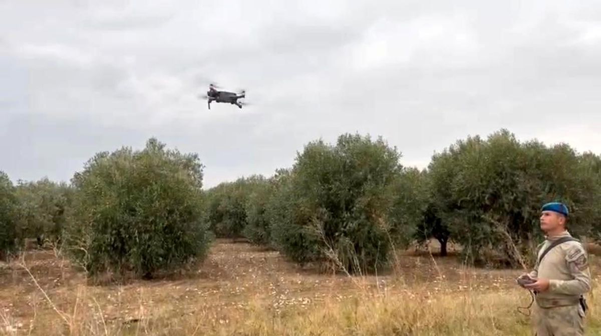Manisa\'da Zeytin Hırsızlığına Karşı Jandarma Tedbir Alıyor
