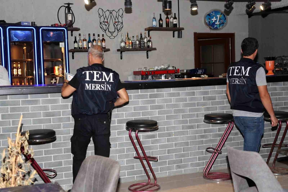 Mersin\'de 10 eğlence mekanında denetim yapıldı