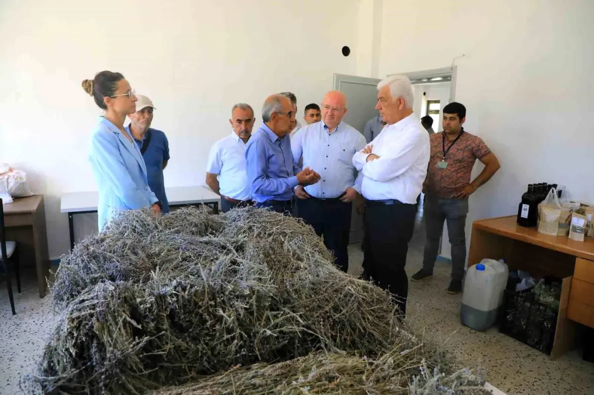 Muğla Tarım Güçbirliği Kooperatifi Üreticilere Katkı Sağladı