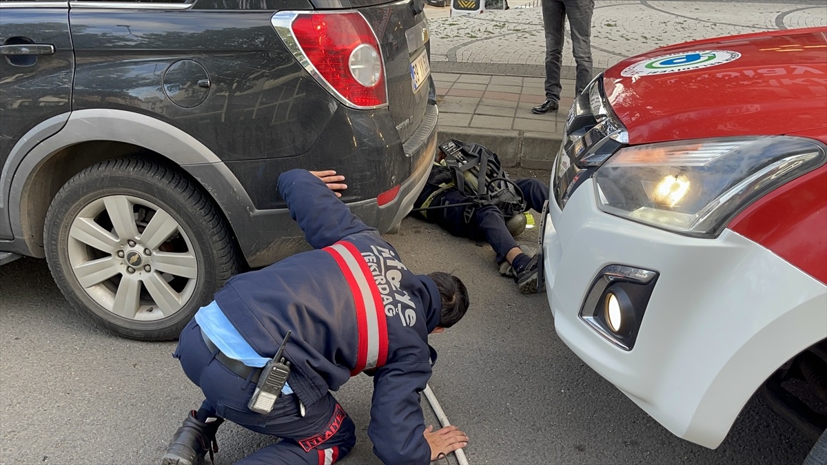 Çorlu\'da Park Halindeki Otomobilin Altında Saklanan Yavru Kedi Kurtarıldı