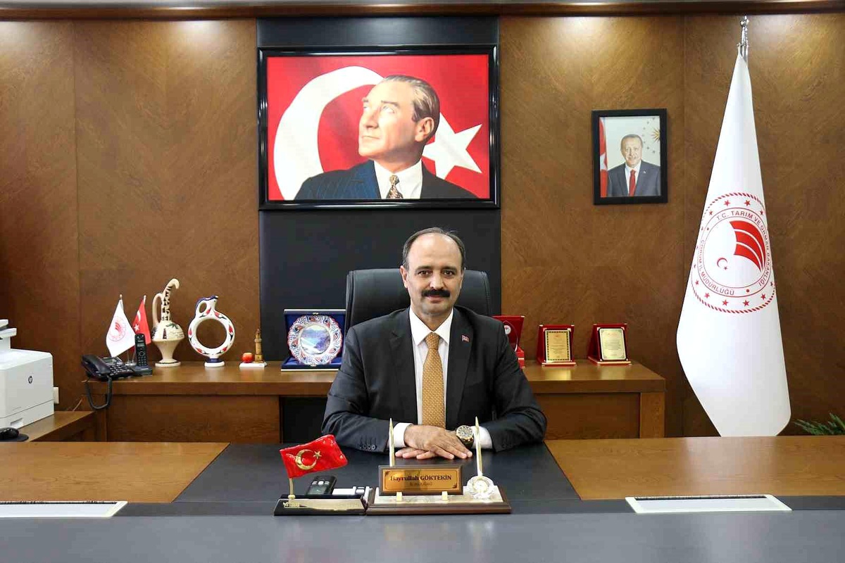Çorum\'da Hayvan Pazarları 23 Ekim\'de Açılacak