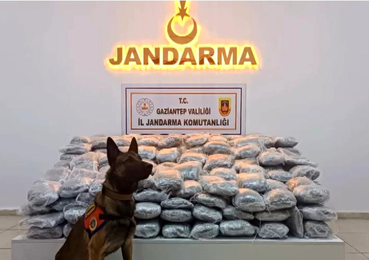 Gaziantep\'te 121 kilo skunk ele geçirildi: 1 şahıs tutuklandı