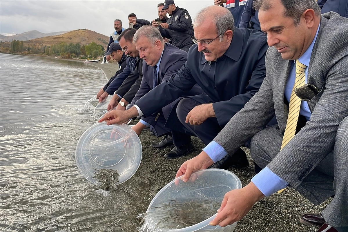 Elazığ Hazar Gölü\'ne 200 Bin Yavru Siraz Balığı Takviyesi Yapıldı