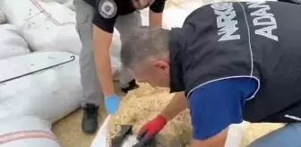 Adana'da Kamyonette 66 Kilo Esrar Ele Geçirildi