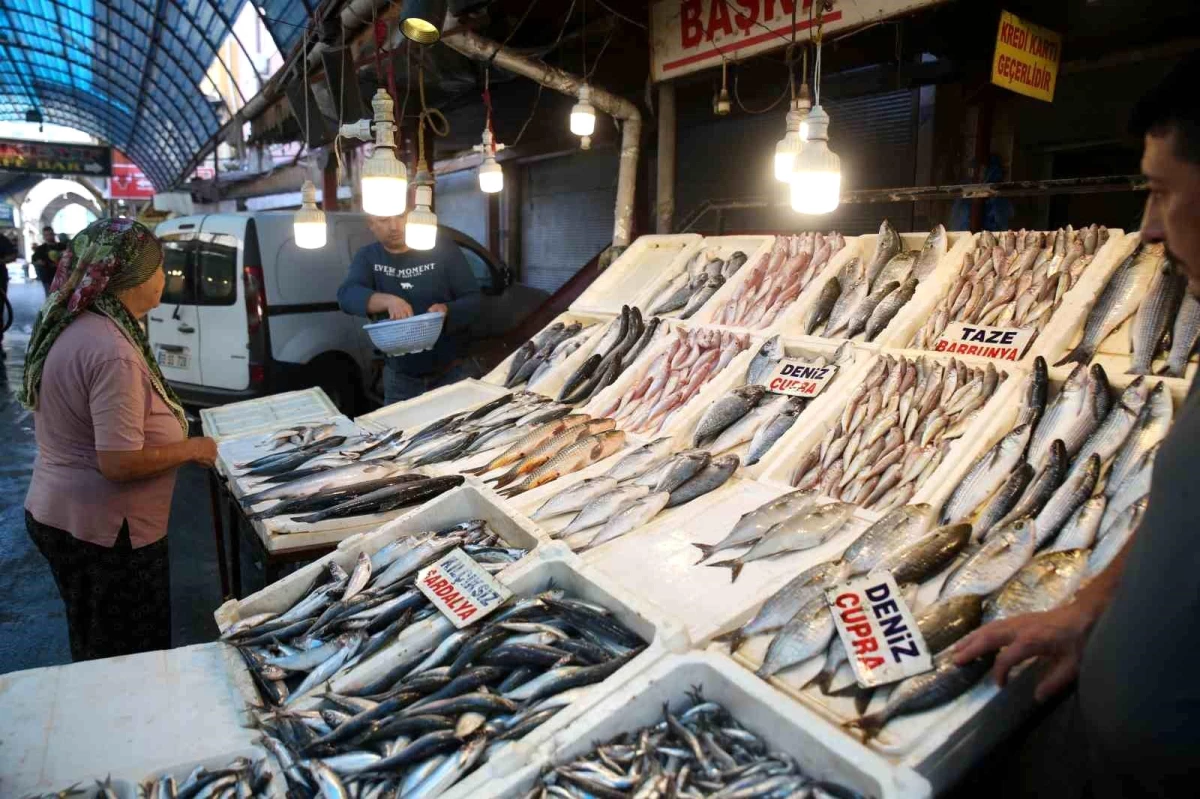 Akdeniz\'de Balık Bolluğu: Fiyatlar Düştü, Talep Arttı