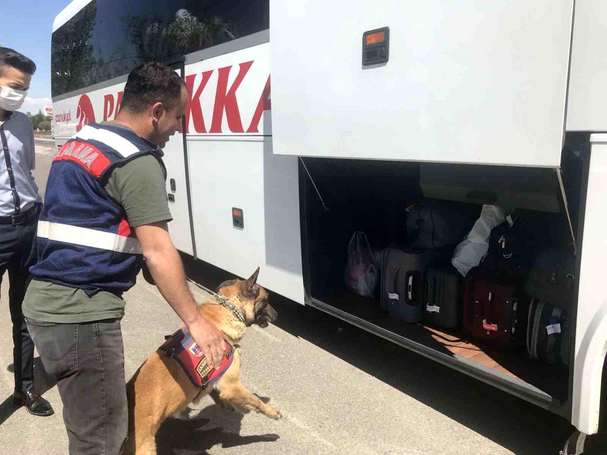Eskişehir\'de 42 düzensiz göçmene 488 bin TL para cezası