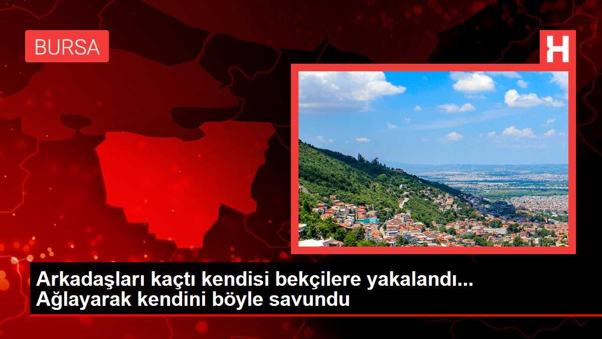 Arkadaşları kaçtı kendisi bekçilere yakalandı... Ağlayarak kendini böyle savundu