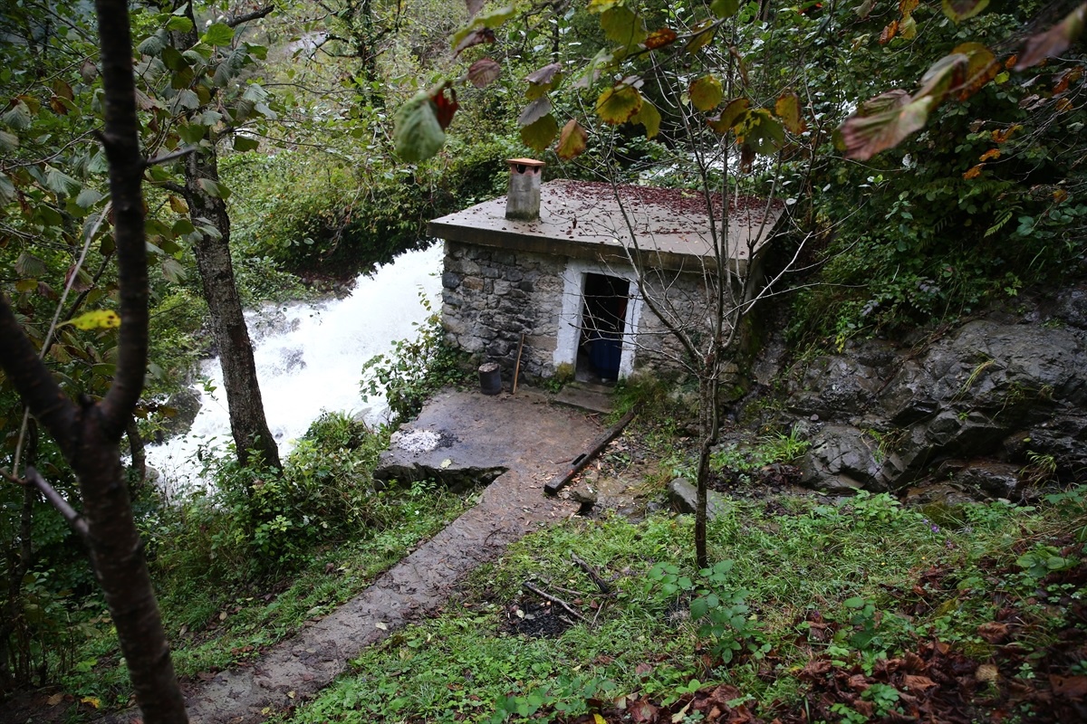 Giresun\'daki Yedi Değirmenler Tabiat Parkı\'nda Asırlık Değirmenler Yaşatılıyor