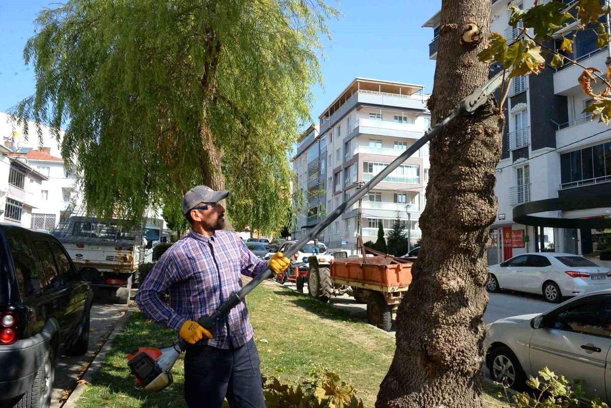 Bozüyük Belediyesi Yeşil Alanlarda Temizlik ve Budama Çalışmalarına Devam Ediyor