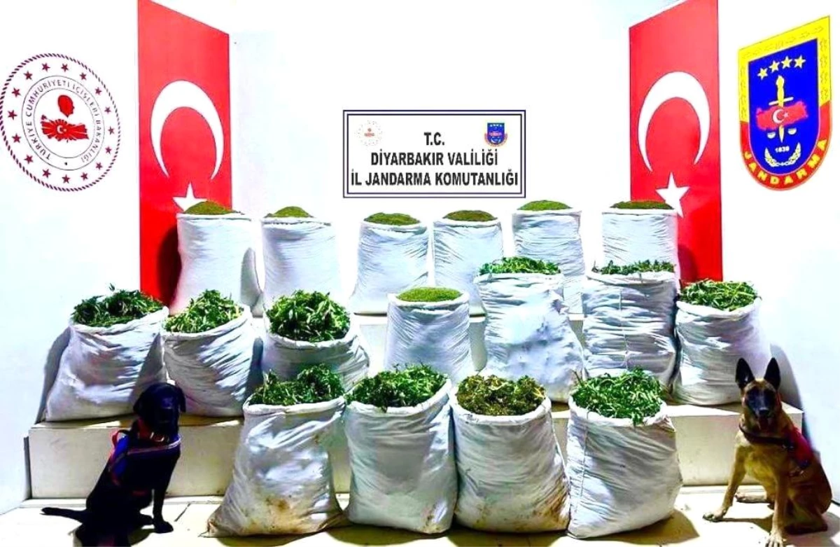 Diyarbakır\'da 285 kilogram esrar ele geçirildi