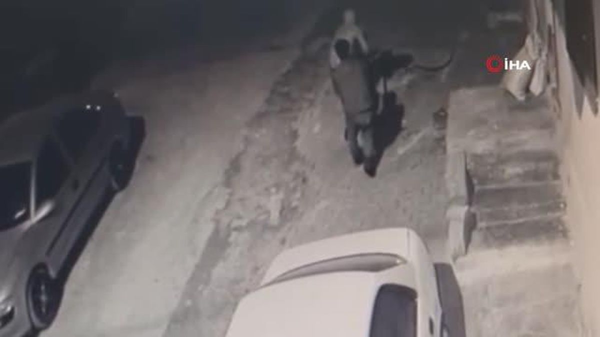 Şanlıurfa\'da Rögar Kapağından Girip Kabloları Çalan Hırsızlar Güvenlik Kamerasına Yakalandı